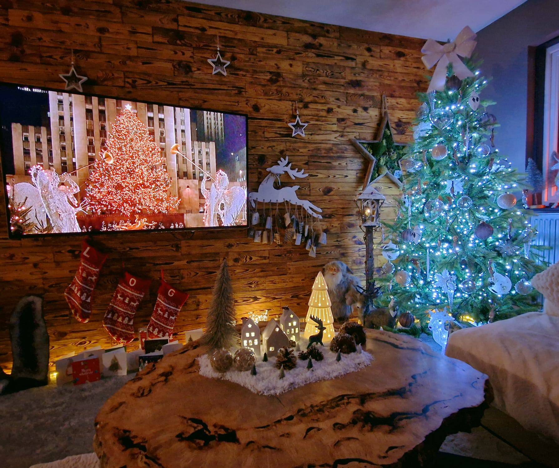 2024 best dressed tree comp 