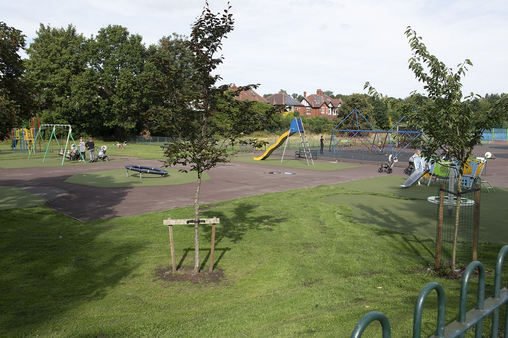 Swings and slide in playing area.