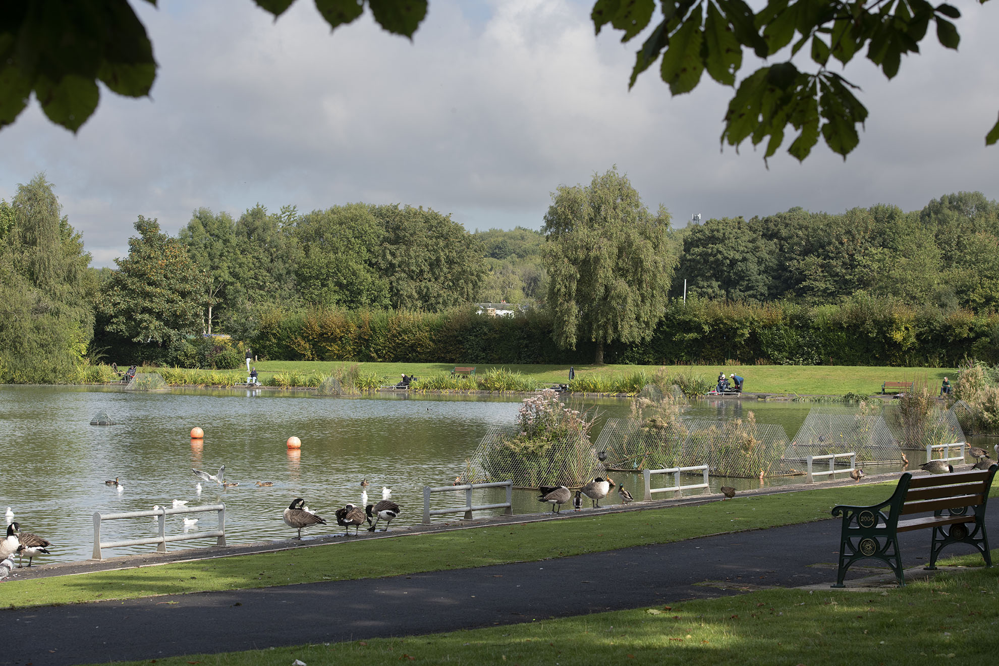 Clarence Park Bury Council