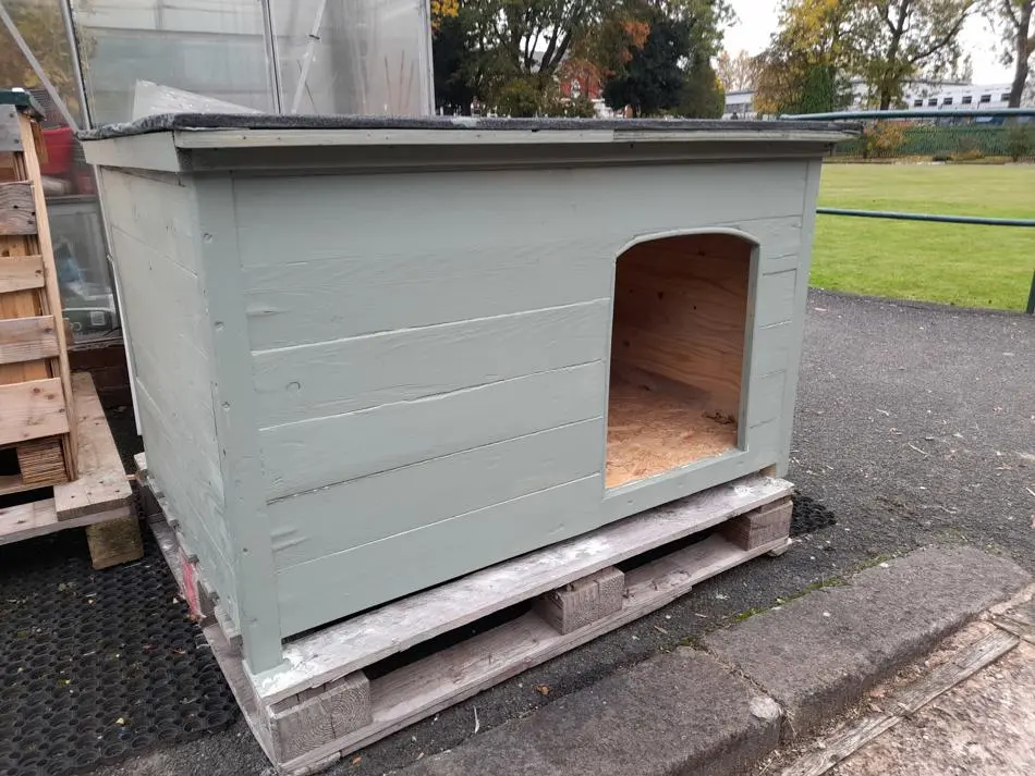 Wooden dog house painted in sage green.