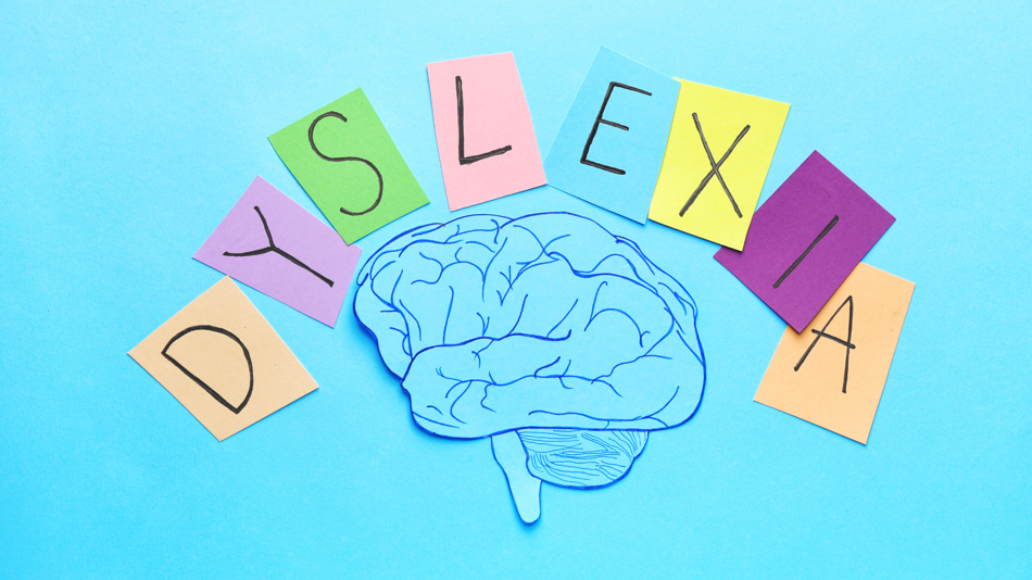 The word dyslexia written on sticky notes above the drawing of a brain.