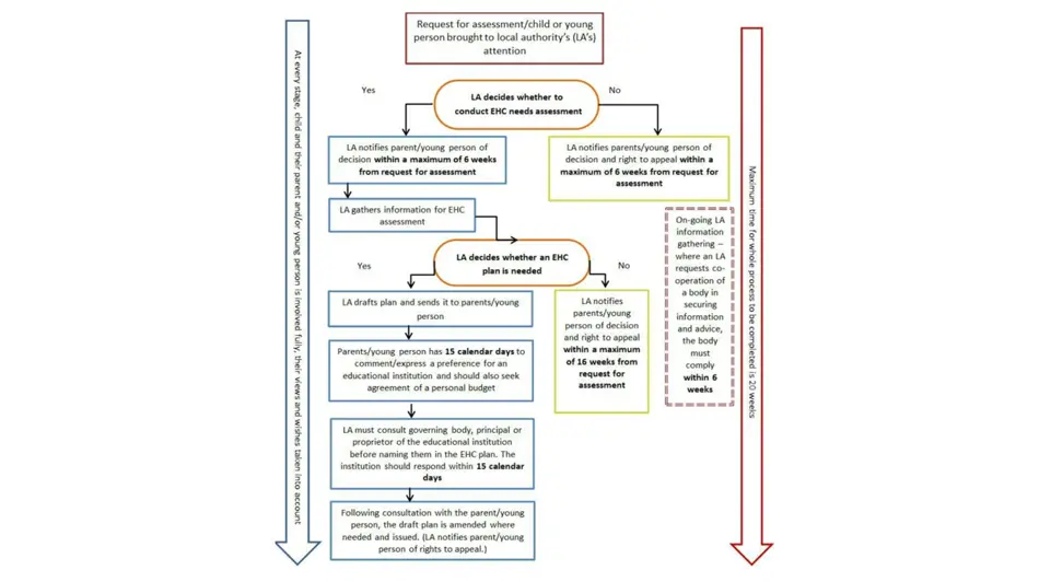 20 week process map