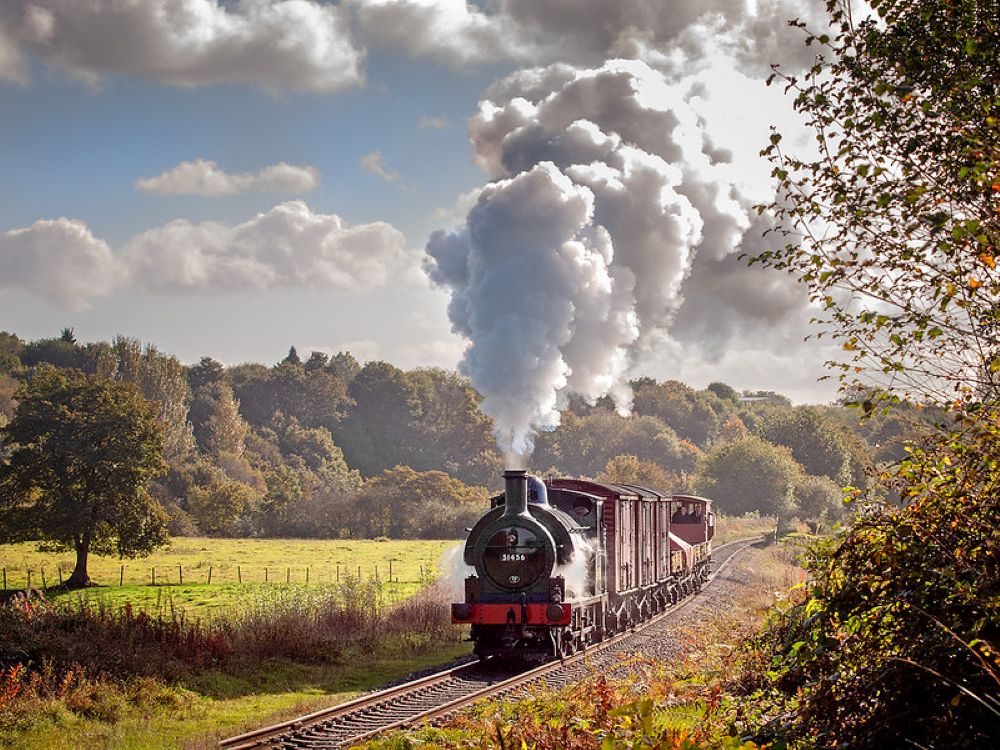 A steam train steaming through a nature reserve.