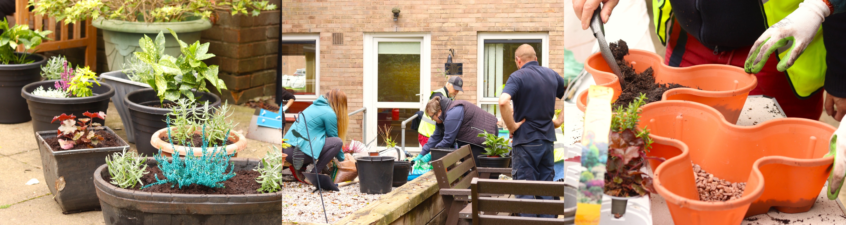 Falcon gardening day image collection 