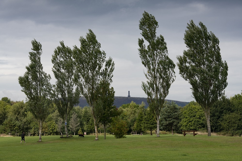 Field and trees with Peel Tower in the background.