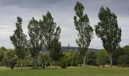 Field and trees with Peel Tower in the background.