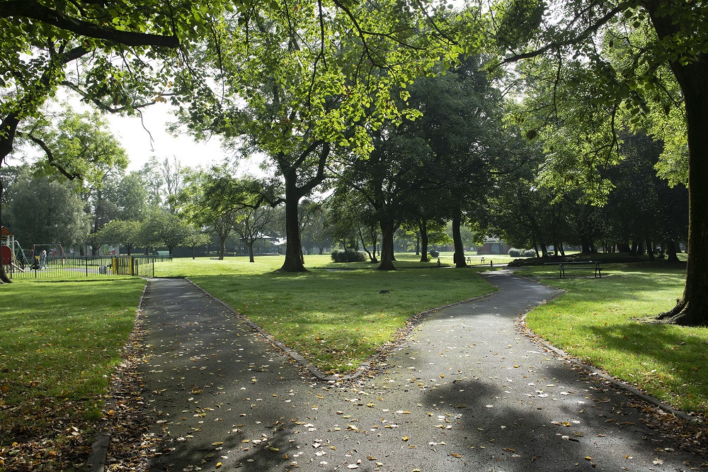 Grass splitting a footpath.