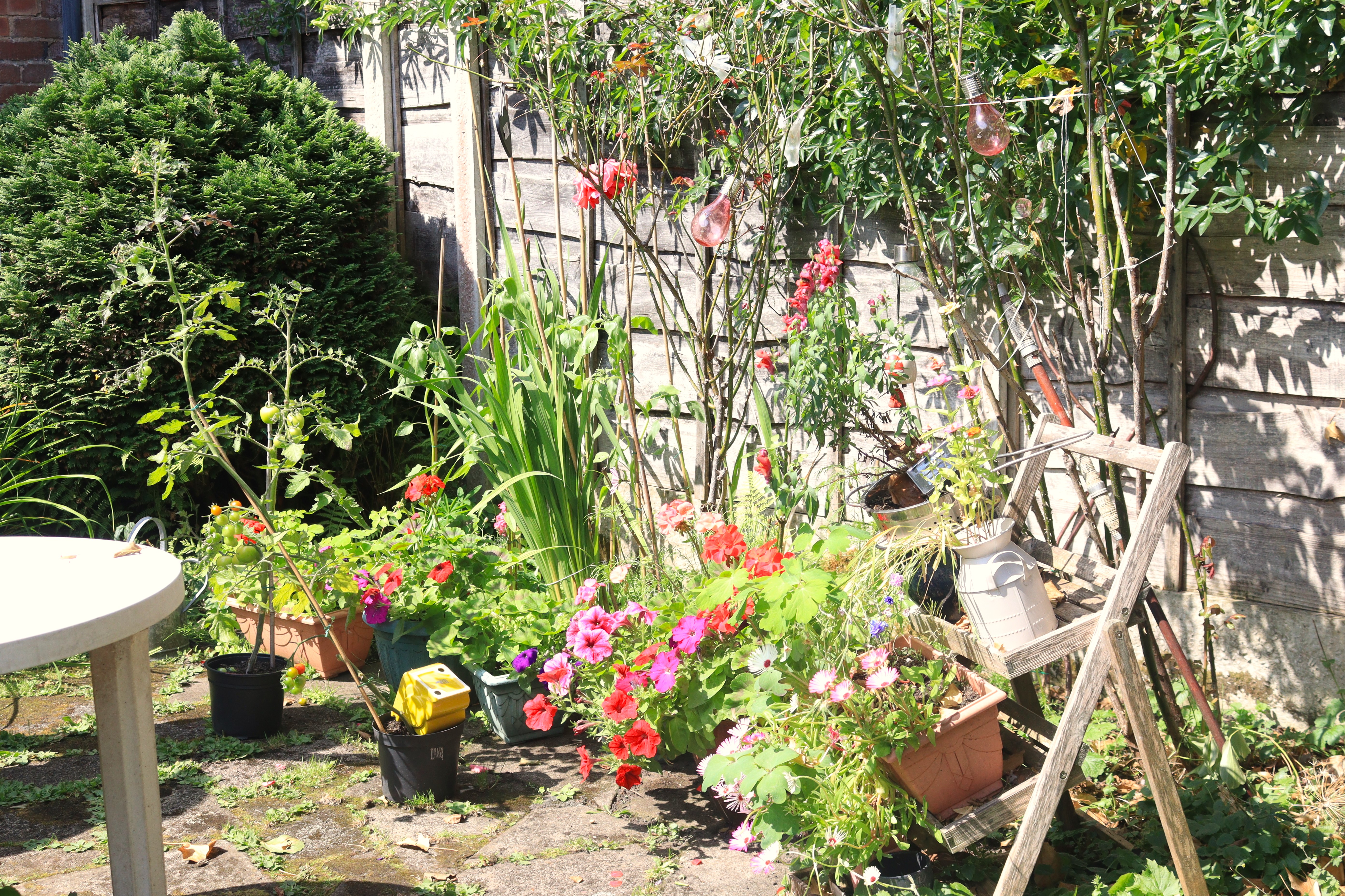 Winner: Wendy from Whitefield 