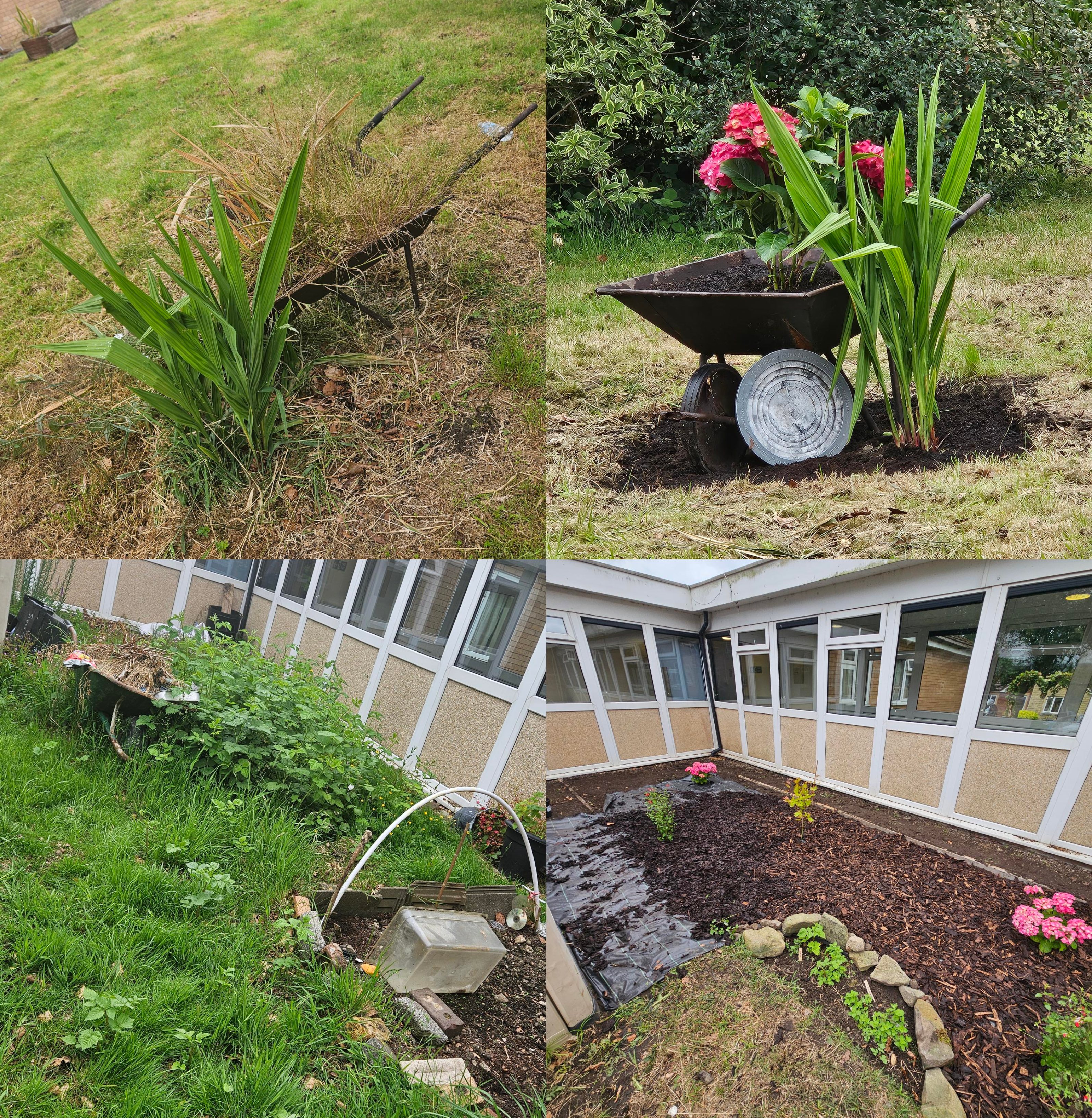 before and after of hardwood house garden 