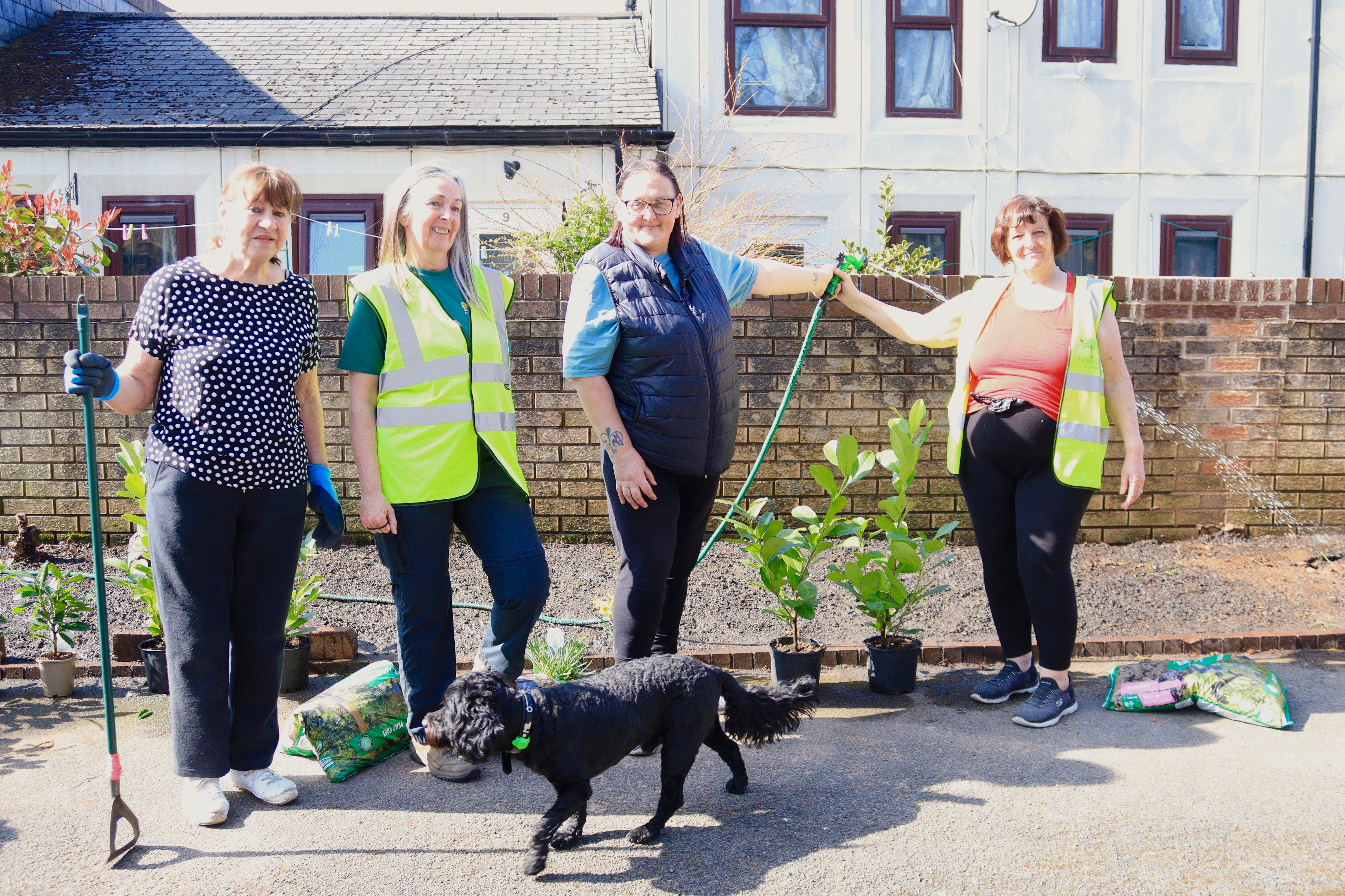 Townside Action Group