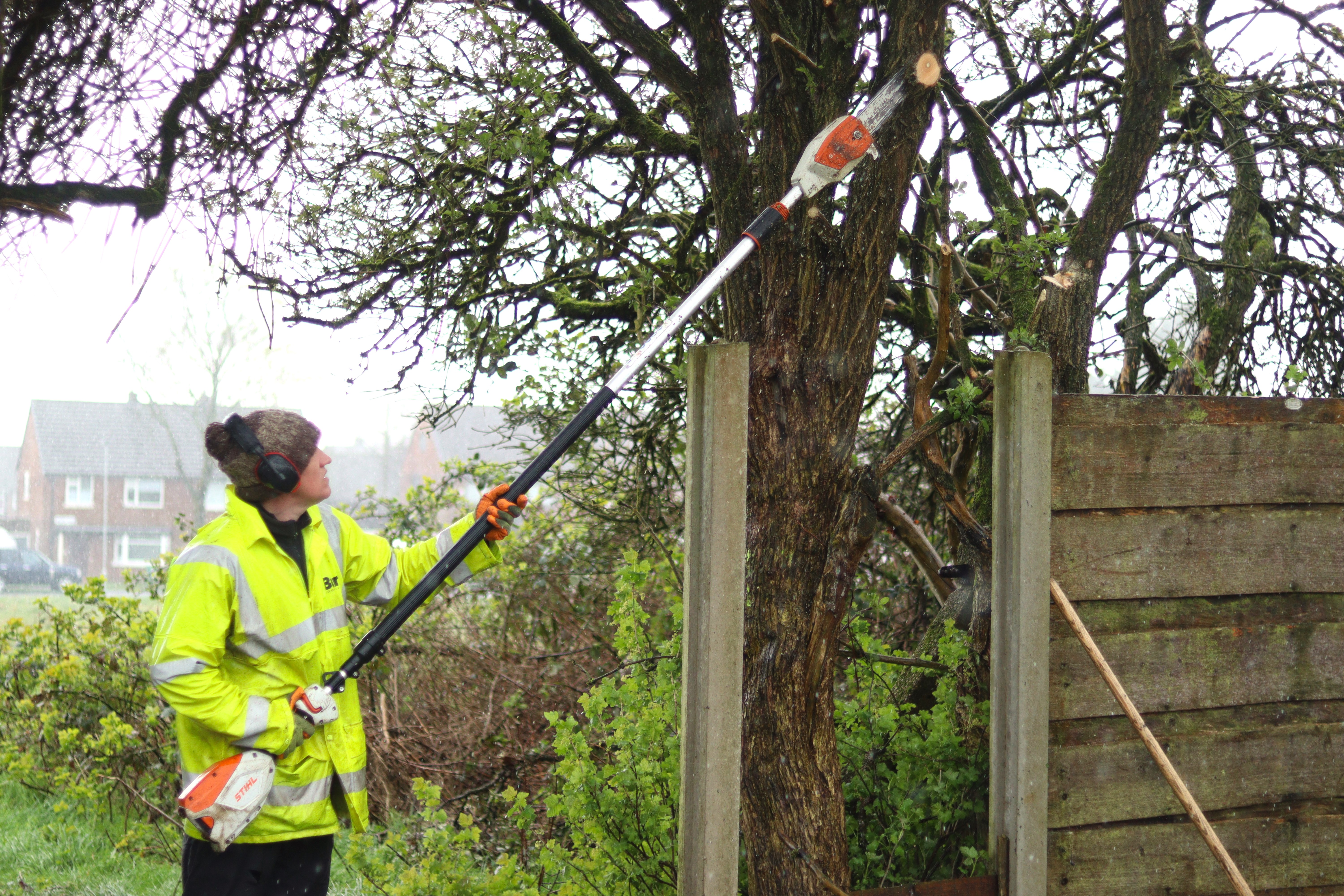 Caretakers trimming trees