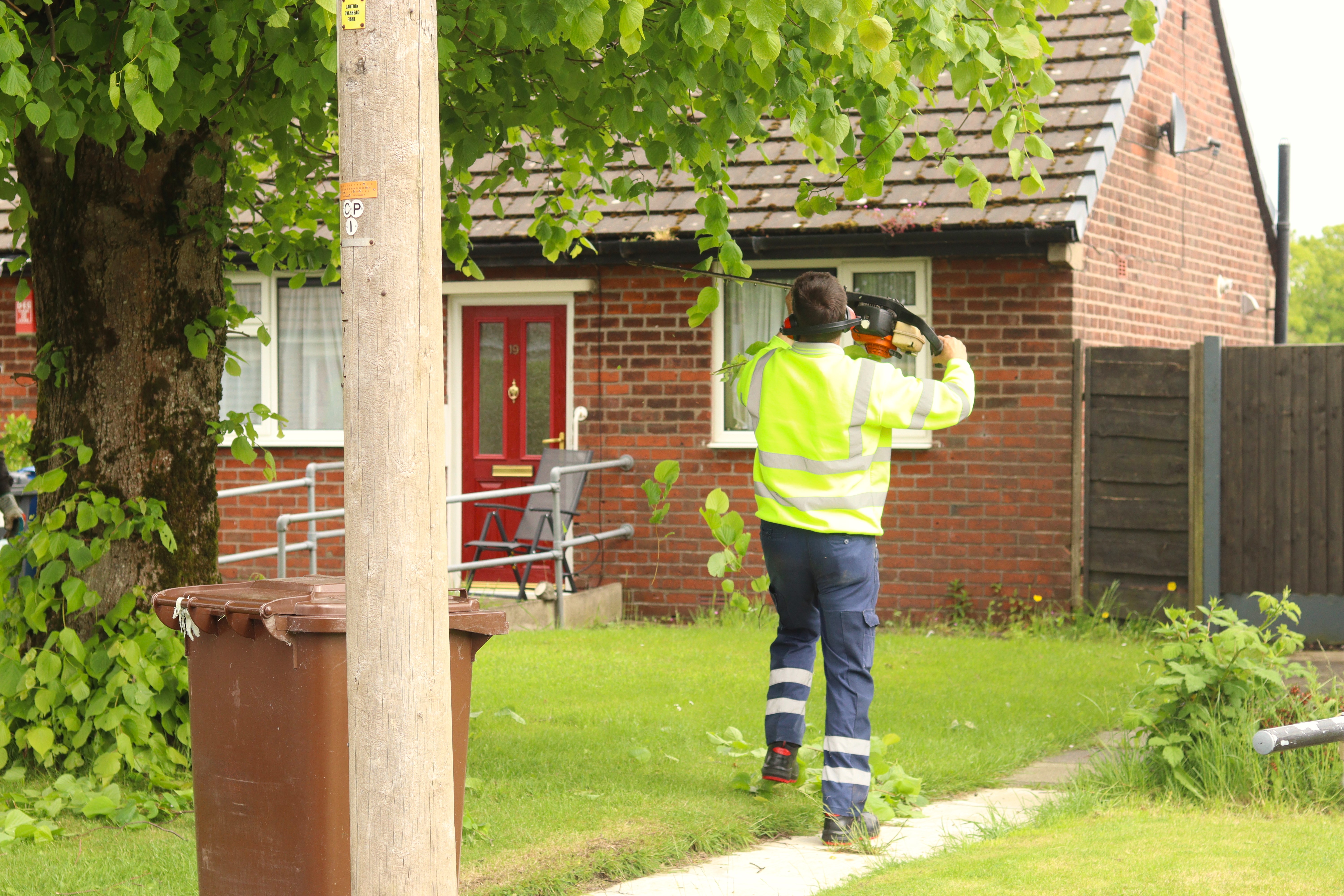 Staff trimming trees