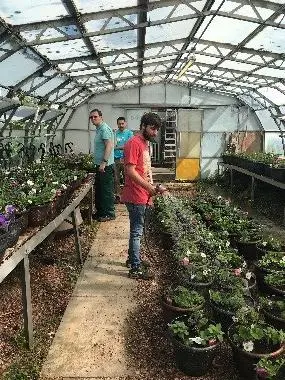 In the greenhouse