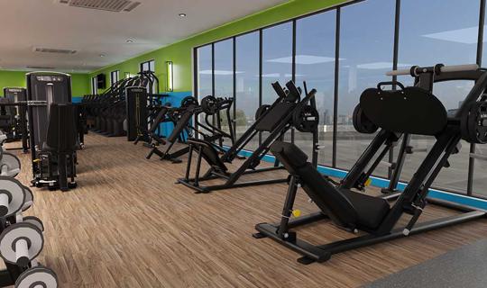 Indoor gym and exercise equipment