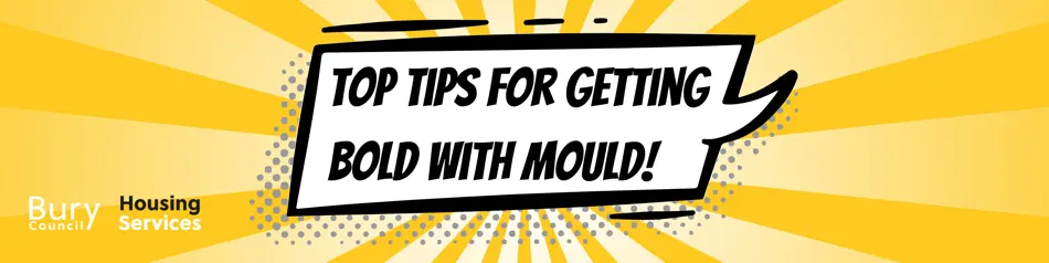 Title graphic reading 'Top Tips for getting bold with mould!'