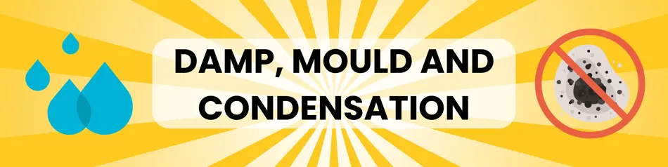 Title card that says Damp, Mould and Condensation