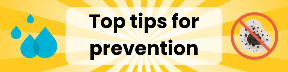 top tips for prevention banner