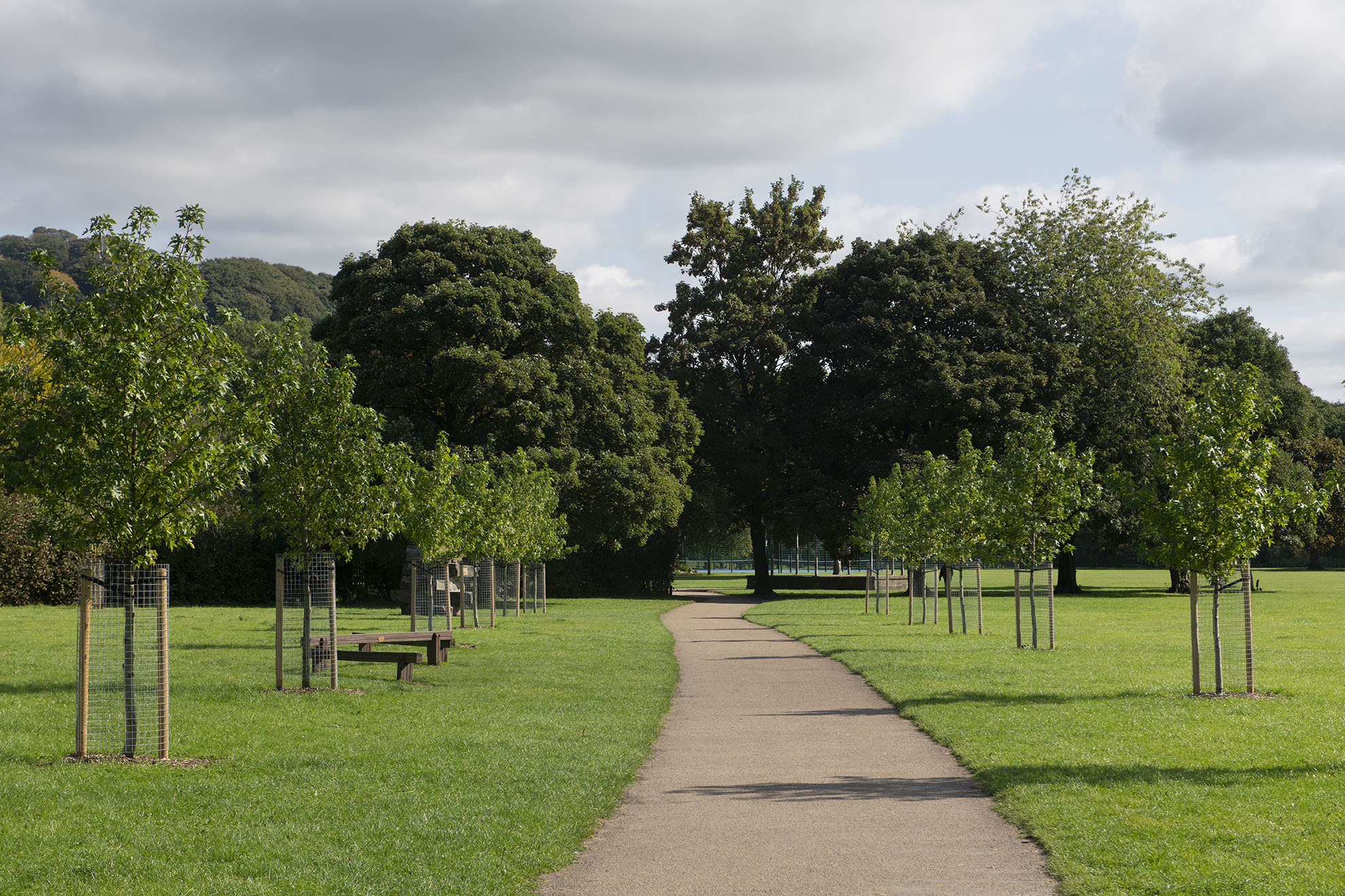A level pathway bordered by grass and trees on either side.