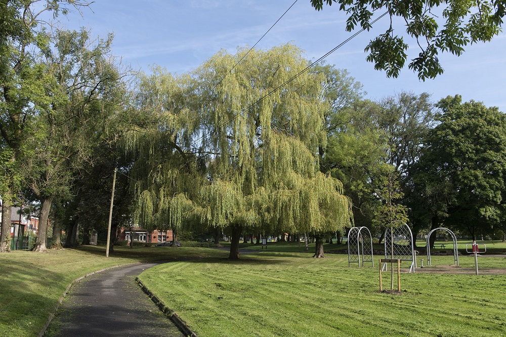 Outdoor gym equipment by a path.