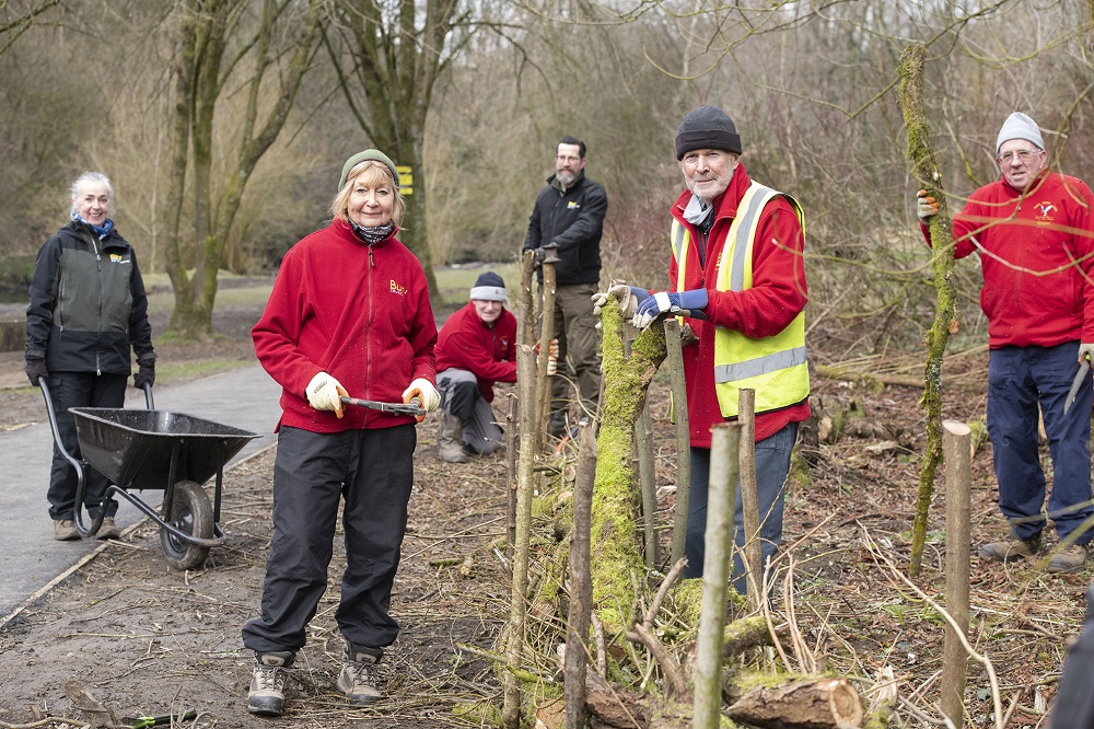 People repairing a fence in a park.