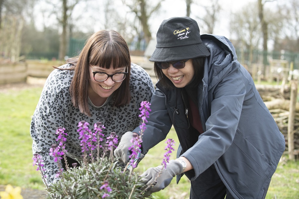 Two women pruning plants.