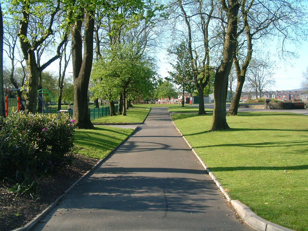 Pathway by grass and trees.
