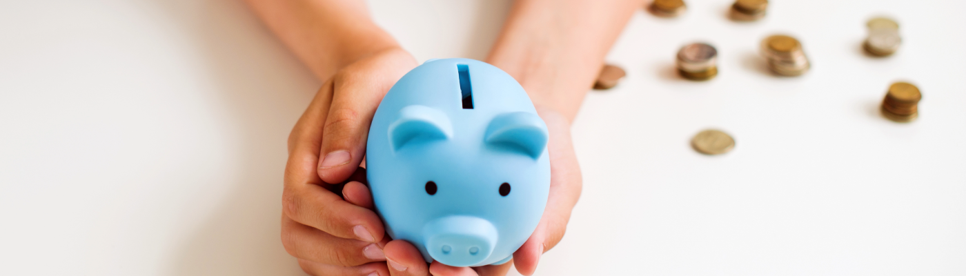 SEN Personal Budget banner