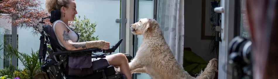 Person in a wheelchair with their dog