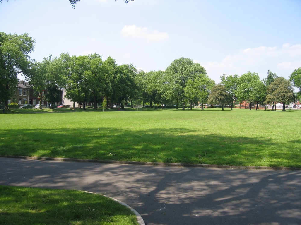 Pathway by a field and trees.