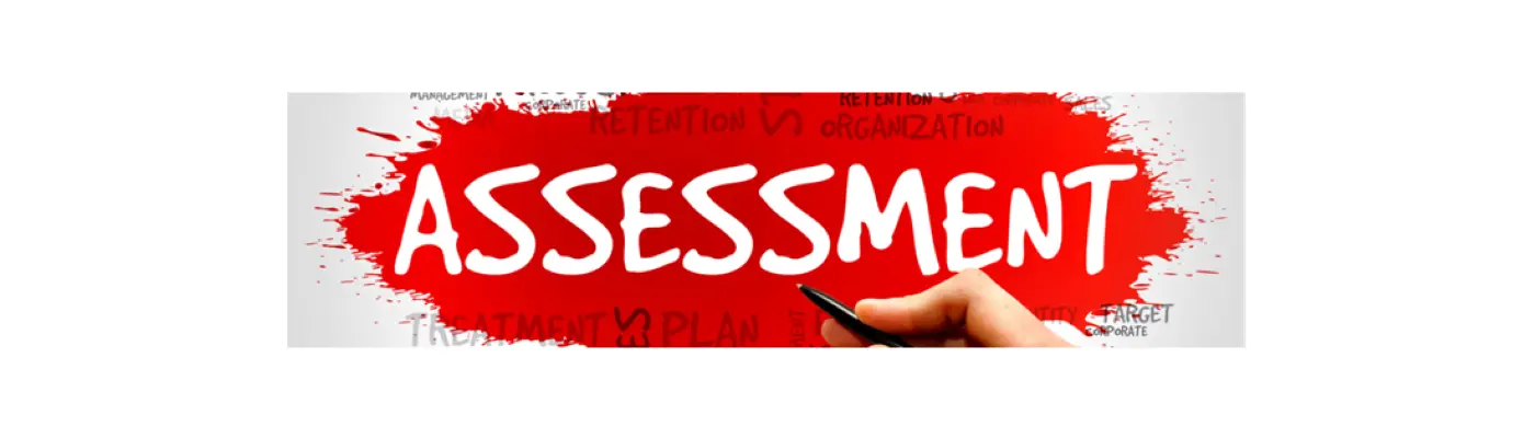 The word assessment surrounded by numberous words involved in assessments