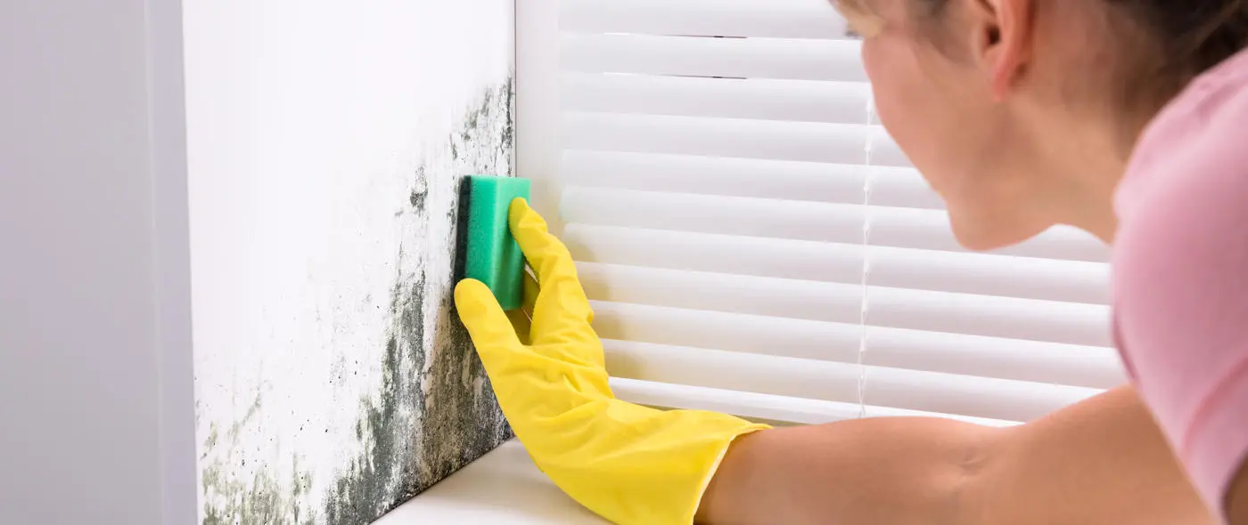 woman cleaning mould in her home