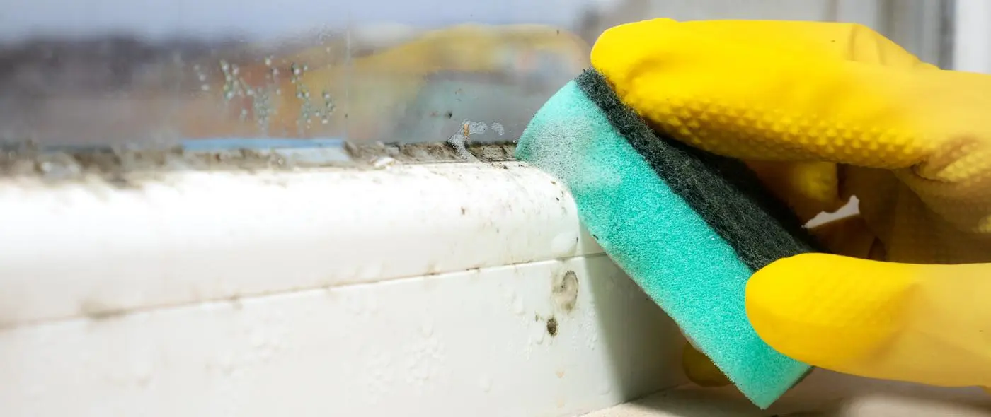 hand cleaning mould on a window sill