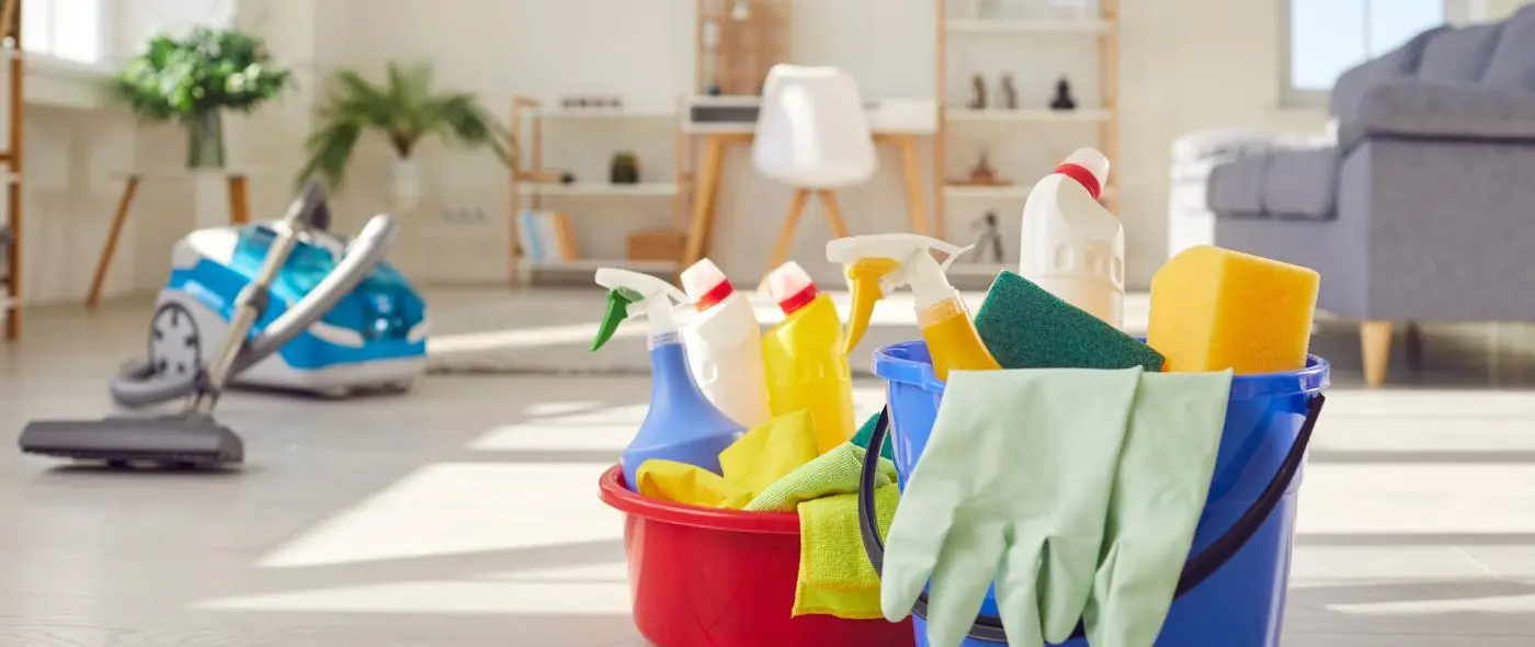 Cleaning products in home