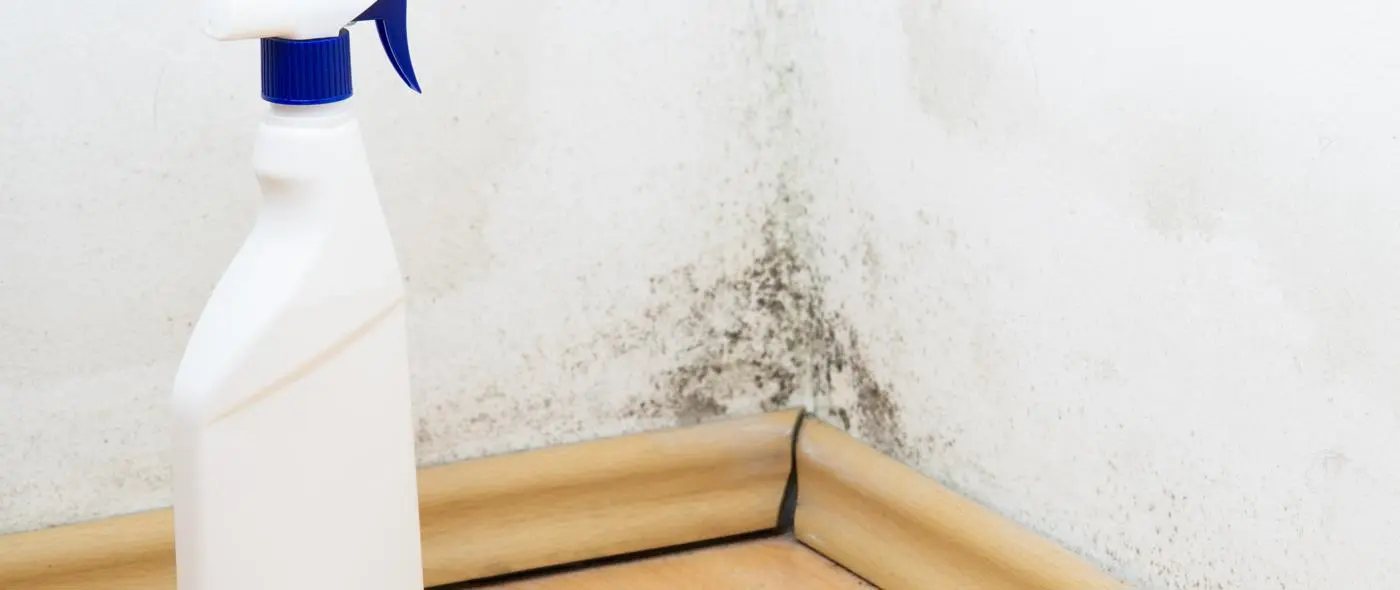 cleaning product next to a patch on mould on the wall