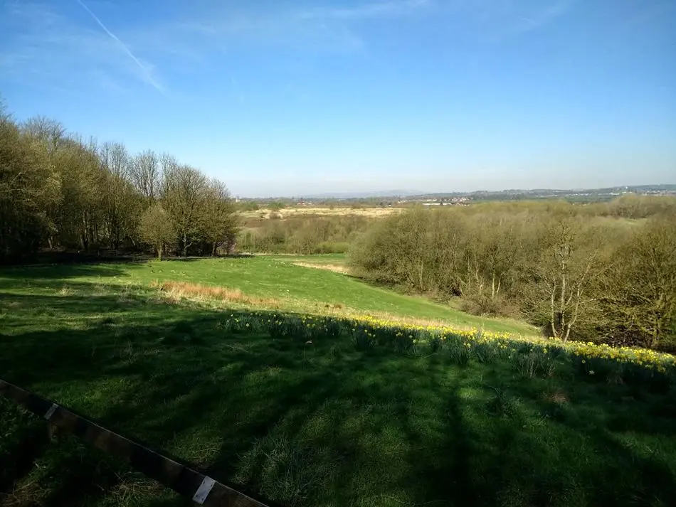 Fields and trees in Springwater Park.