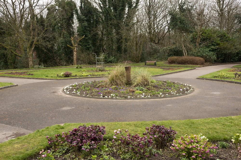 Plants, garden and paths.