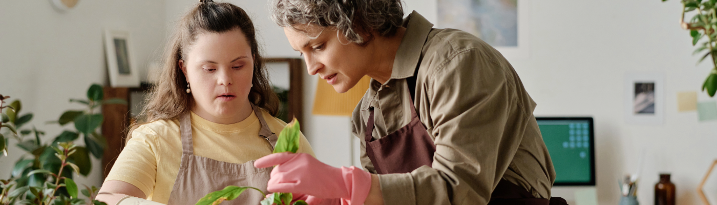 Supported Internships banner