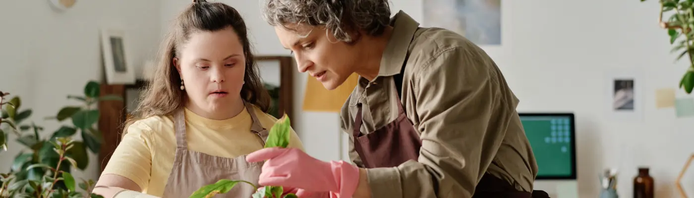 Supported Internships banner