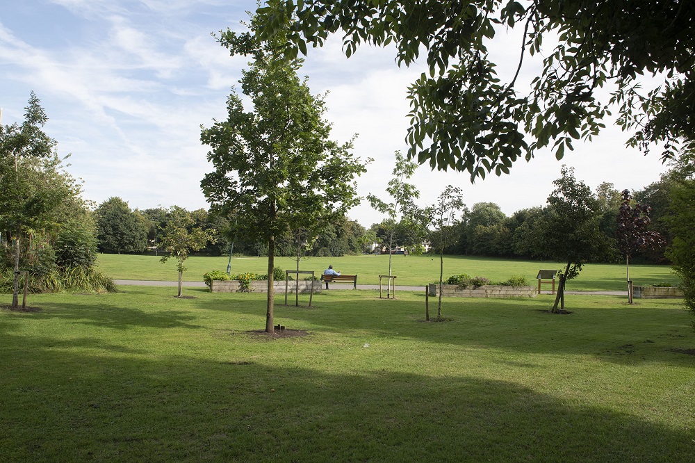 Trees, planters and fields.