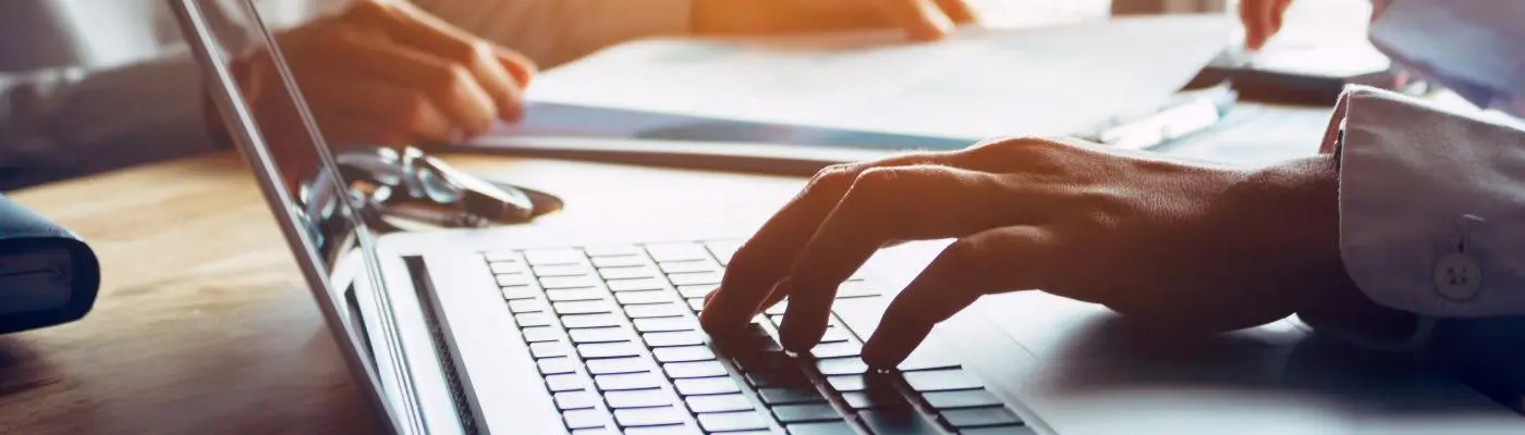 people working on laptops