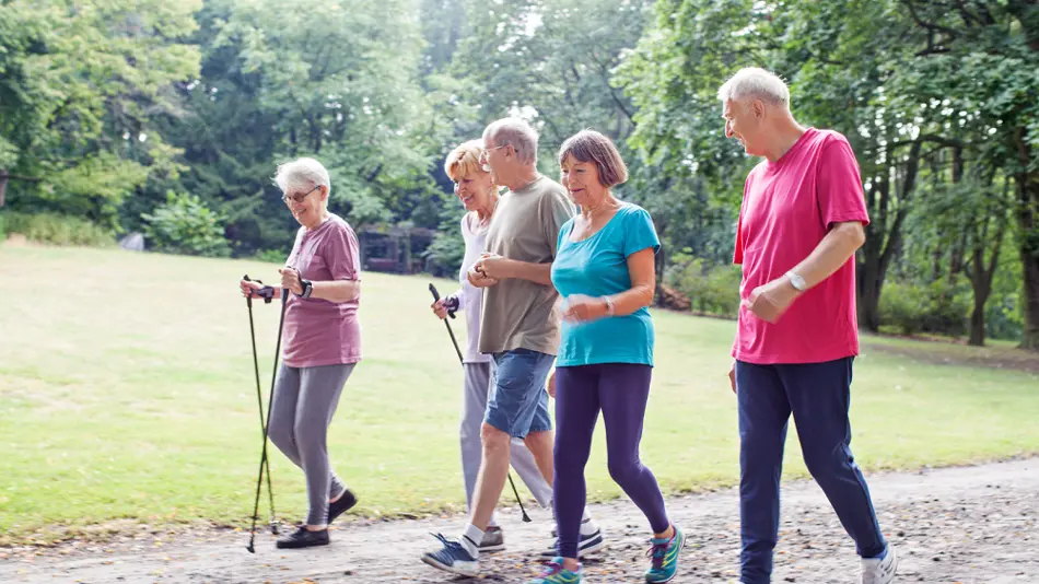 People walking on a path in a park.