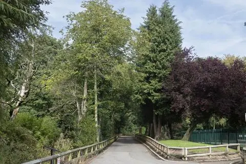 Fenced pathway through trees.